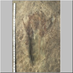 px85b-10-18 dodm2.jpg